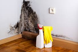 Best Real Estate Mold Inspection in Palermo, CA